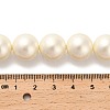 Shell Pearl Beads Strands BSHE-XCP0001-32-4