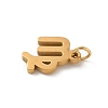 304 Stainless Steel Charms LS-STAS-R001-04G-06-2