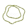 Natural Peridot Beads Strands X-G-E607-A06-2