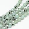 Natural Sesame Jasper/Kiwi Jasper Bead Strands G-R345-10mm-28-1