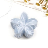 Resin Claw Hair Clips PW-WG0E0E6-10-1