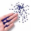 Glass Seed Beads SEED-A010-3mm-48-5