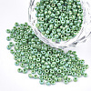 Opaque 8/0 Glass Seed Beads SEED-S023-01B-07-1