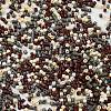 Baking Paint Glass Seed Beads SEED-S042-05B-55-3