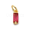 Brass Pave Cubic Zirconia Charms KK-F894-13G-2