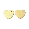 Ion Plating(IP) 201 Stainless Steel Charms STAS-H191-01C-G-1