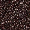 MIYUKI Round Rocailles Beads SEED-JP0008-RR0457B-3
