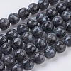 Natural Larvikite Beads Strands G-G542-10mm-27-1