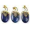 Dyed Natural Lapis Lazuli Pendants G-L524-17G-11-1