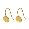 304 Stainless Steel Earring Hooks STAS-B087-09B-G-1