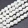 Natural White Shell Beads Strands SSHEL-P015-01A-10mm-1