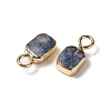 Natural Blue Spot Jasper Rectangle Charms G-Q169-07G-02-2