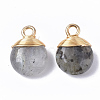 Natural Labradorite Pendants G-S359-021A-2