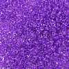 8/0 Glass Seed Beads SEED-A014-3mm-135B-2