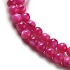 Natural Freshwater Shell Beads Strands X-SHEL-H003-03F-3