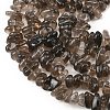 Natural Smoky Quartz Beads Strands G-P622-A01-02-4