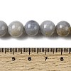 Natural Gemstone Beads Strands G-L641-A01-04-5