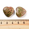 Heart Natural Unakite Worry Stone G-C134-06A-12-3