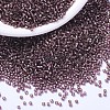 MIYUKI Delica Beads Small SEED-X0054-DBS1204-1