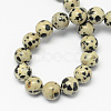 Natural Dalmatian Jasper Stone Bead Strands X-G-R193-14-4mm-2