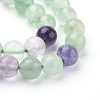 Natural Fluorite Beads Strands X-G-E112-8mm-18-3