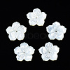 Natural White Shell Mother of Pearl Shell Beads SSHEL-T014-42D-1