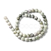 Natural Peace Jade Beads Strands G-E598-04B-3