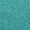 TOHO 11/0 Round Beads X-SEED-TR11-0055-2