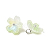 Glass Charms GLAA-G127-05B-2