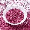 MIYUKI Delica Beads SEED-JP0008-DB2175-2