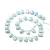 Natural Amazonite Beads Strands G-I246-11-1