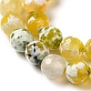 Dyed & Heated Natural Fire Crackle Agate Beads Strands G-P539-B01-16-4