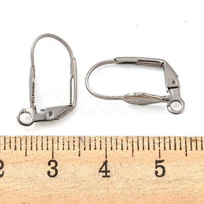Non-Tarnish 304 Stainless Steel Leverback Earring Findings STAS-P360-02C-P-1