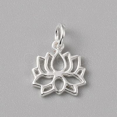 Brass Charms FIND-WH0159-63S-05-1
