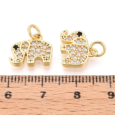Brass Micro Pave Cubic Zirconia Charms KK-N257-68G-1