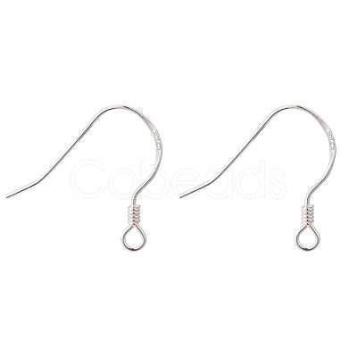 925 Sterling Silver Earring Hooks STER-K167-049A-S-1