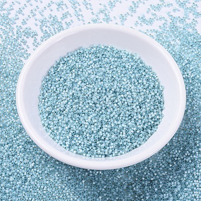 MIYUKI Delica Beads X-SEED-J020-DB0628-1