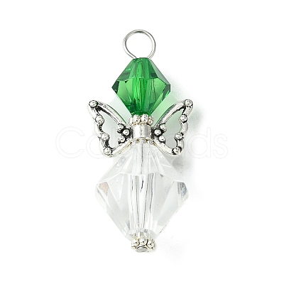 Transparent Acrylic Pendant PALLOY-JF02249-1