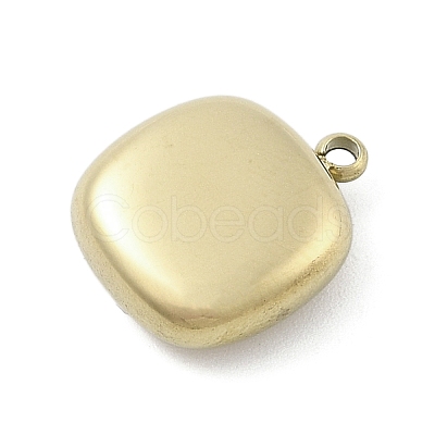 316 Surgical Stainless Steel Charms STAS-S159-02C-G-1