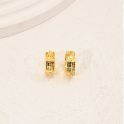 304 Stainless Steel Hoop Earrings for Women RY1881-1