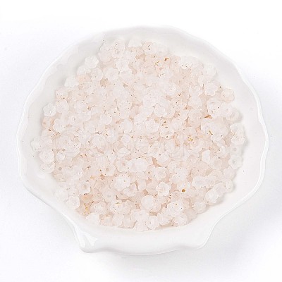 Frosted Transparent Acrylic Beads OACR-N137-72A-1