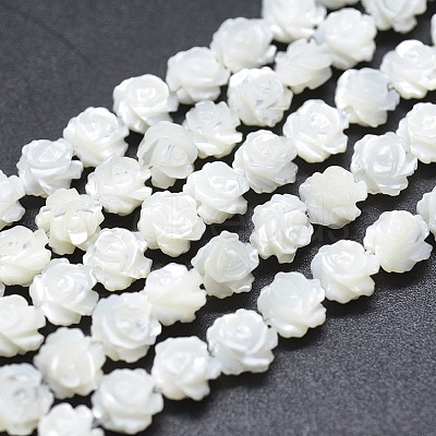 Natural White Shell Beads Strands SSHEL-P015-01A-10mm-1