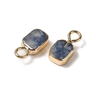 Natural Blue Spot Jasper Rectangle Charms G-Q169-07G-02-1
