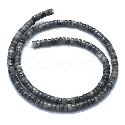 Natural Larvikite Beads Strands G-F631-A15-1