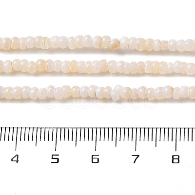 Natural Freshwater Shell Beads Strands X-SHEL-P017-01B-02-1