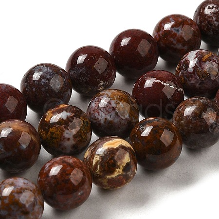 Natural Ocean Jasper Beads Strands G-H298-A13-04-1
