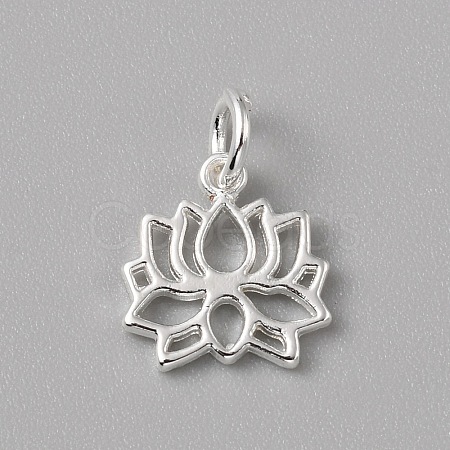 Brass Charms FIND-WH0159-63S-05-1