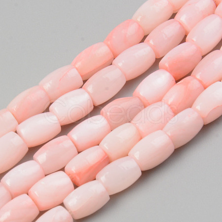 Natural Freshwater Shell Beads Strand X-SHEL-T017-39B-1