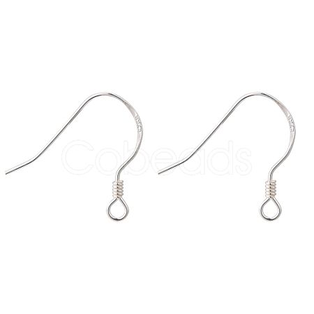 925 Sterling Silver Earring Hooks STER-K167-049A-S-1