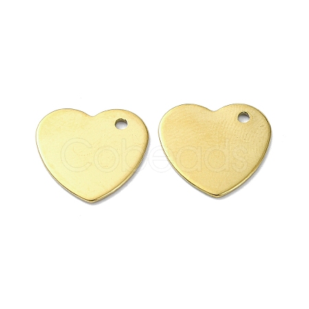 Ion Plating(IP) 201 Stainless Steel Charms STAS-H191-01C-G-1